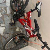 Bicicletta
