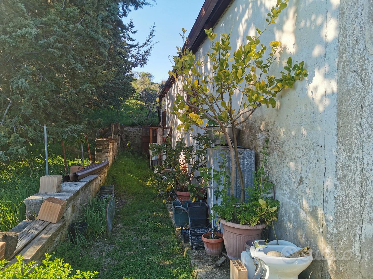 Capannone con piccolo terreno - Vista 2
