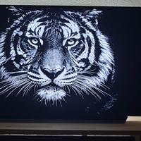 LG OLED55C1 55” OLED 4K - scatola originale