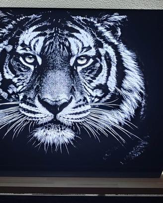 LG OLED55C1 55” OLED 4K - scatola originale