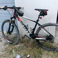 Bicicletta Uomo