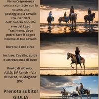 Escursione a cavallo | Lago Trasimeno Magione PG
