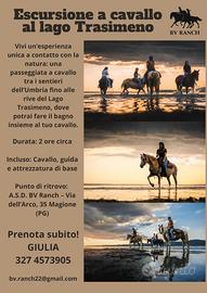 Escursione a cavallo | Lago Trasimeno Magione PG