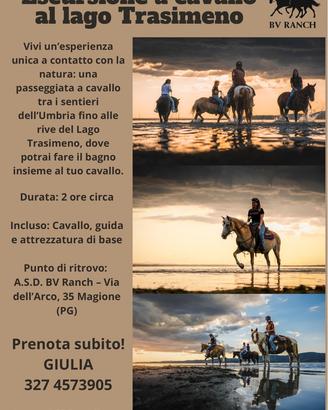 Escursione a cavallo | Lago Trasimeno Magione PG