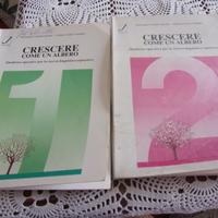 GUIDE DIDATTICHE ITALIANO SCUOLA PRIMARIA