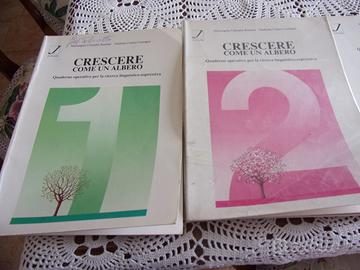 GUIDE DIDATTICHE ITALIANO SCUOLA PRIMARIA