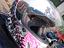 Immagine 1
