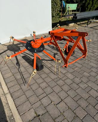 Voltafieno fontanesi