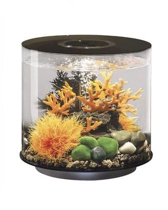 Acquario biOrb 15 litri cilindrico nero