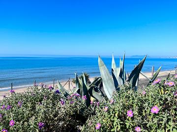 Last minute Luglio vicinissimo al mare