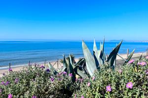 Last minute Luglio vicinissimo al mare