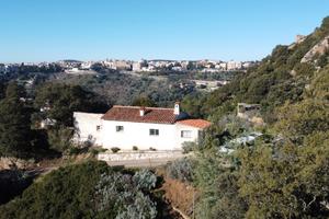 Terreno con fabbricati a 1 Km. dalla città