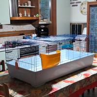 Gabbia per conigli e roditori vari