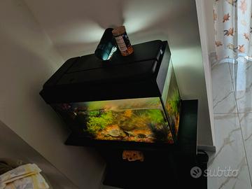 acquario con supporto 