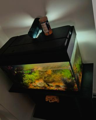 acquario con supporto 