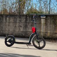 Monopattino  elettrico argento