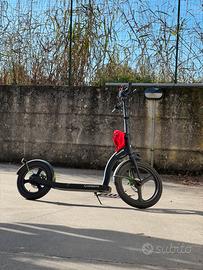 Monopattino  elettrico argento