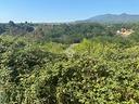 ter-agricolo-a-artena