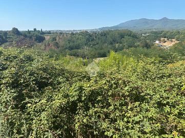 TER. AGRICOLO A ARTENA