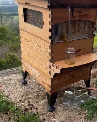 ALVEARE: ARNIA   MELARIO super accessoriati