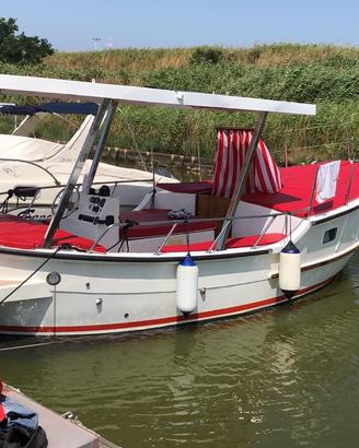 Calafuria calasetta 28