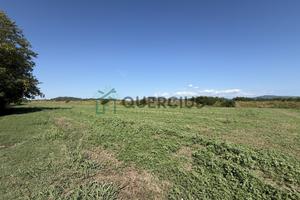 Terreno a San Bonifacio (VR)
