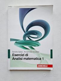 Esercizi di Analisi Matematica 1 (Salsa,Squellati)