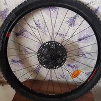 ruota posteriore bici da 29