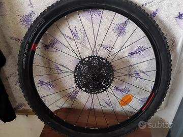ruota posteriore bici da 29