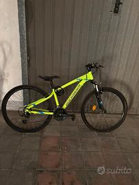 bici MTB
