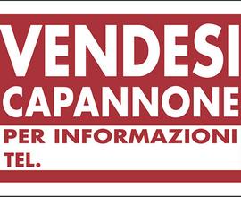 Capannone industriale in reddito