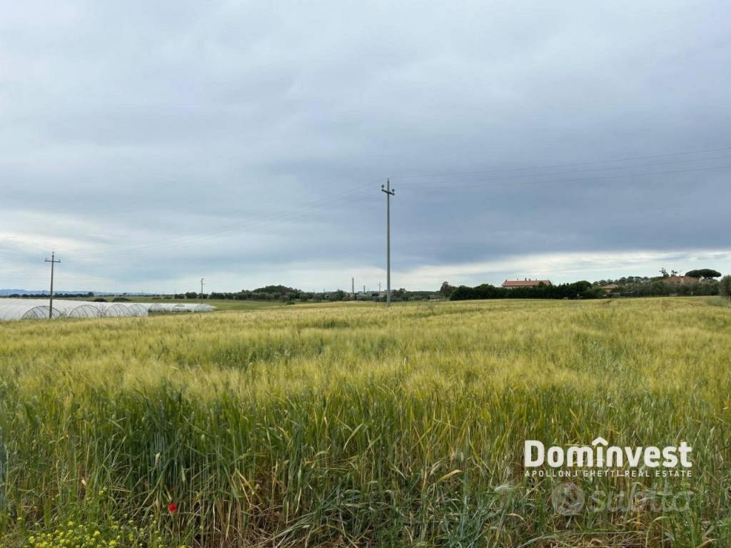 Terreno di 33000 m² a Montalto di Castro - Altro