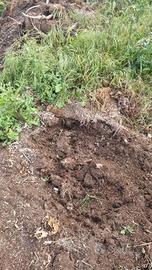 Terreno con sorgente