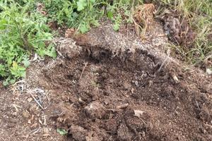 Terreno con sorgente