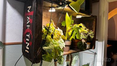 Casse in legno Vintage Martini