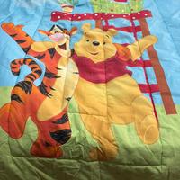 Trapunta singola disney