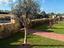 Immagine 28