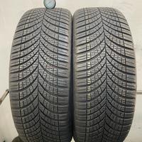215 45 r20 95t 2 gomme goodyear 4 stagioni