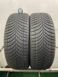 215 45 r20 95t 2 gomme goodyear 4 stagioni