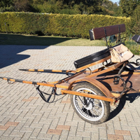 Calesse da doma per cavalli