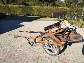 Calesse da doma per cavalli