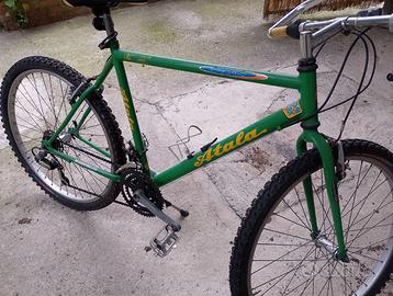 Bicicletta