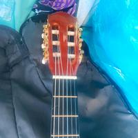 Chitarra