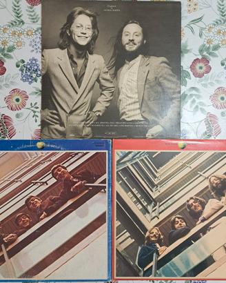 Dischi in vinile di vari generi