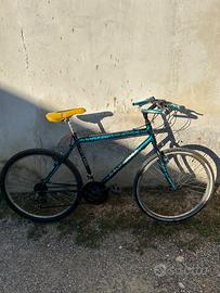 Bicicletta  uomo