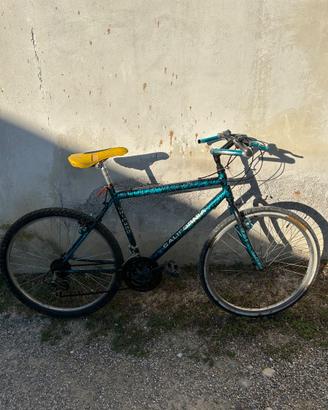 Bicicletta  uomo