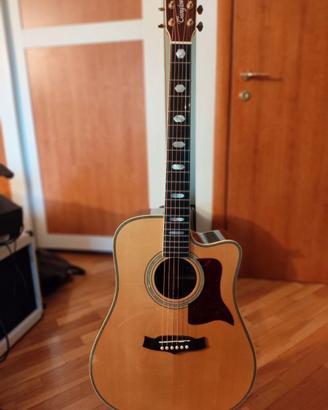 Tanglewood TW 1000 H SRC E