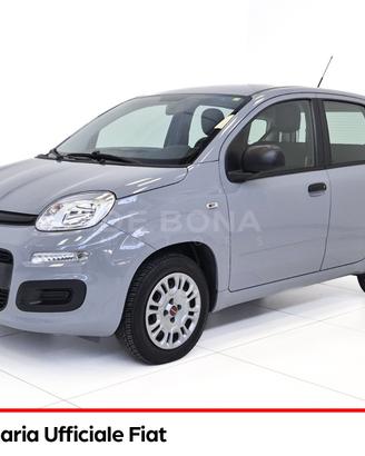 Fiat Panda 1.0 hybrid easy s&s 70cv