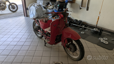 Moto Guzzi Galletto 192 ae 1964