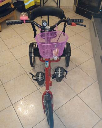 Bicicletta diversamente abili